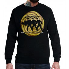 Свитшот Похищенный